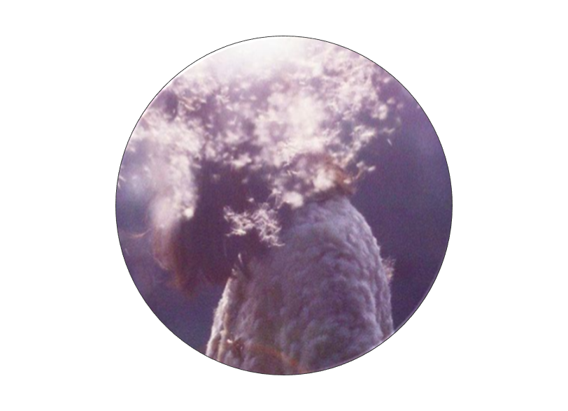 The Dementia Film Project image