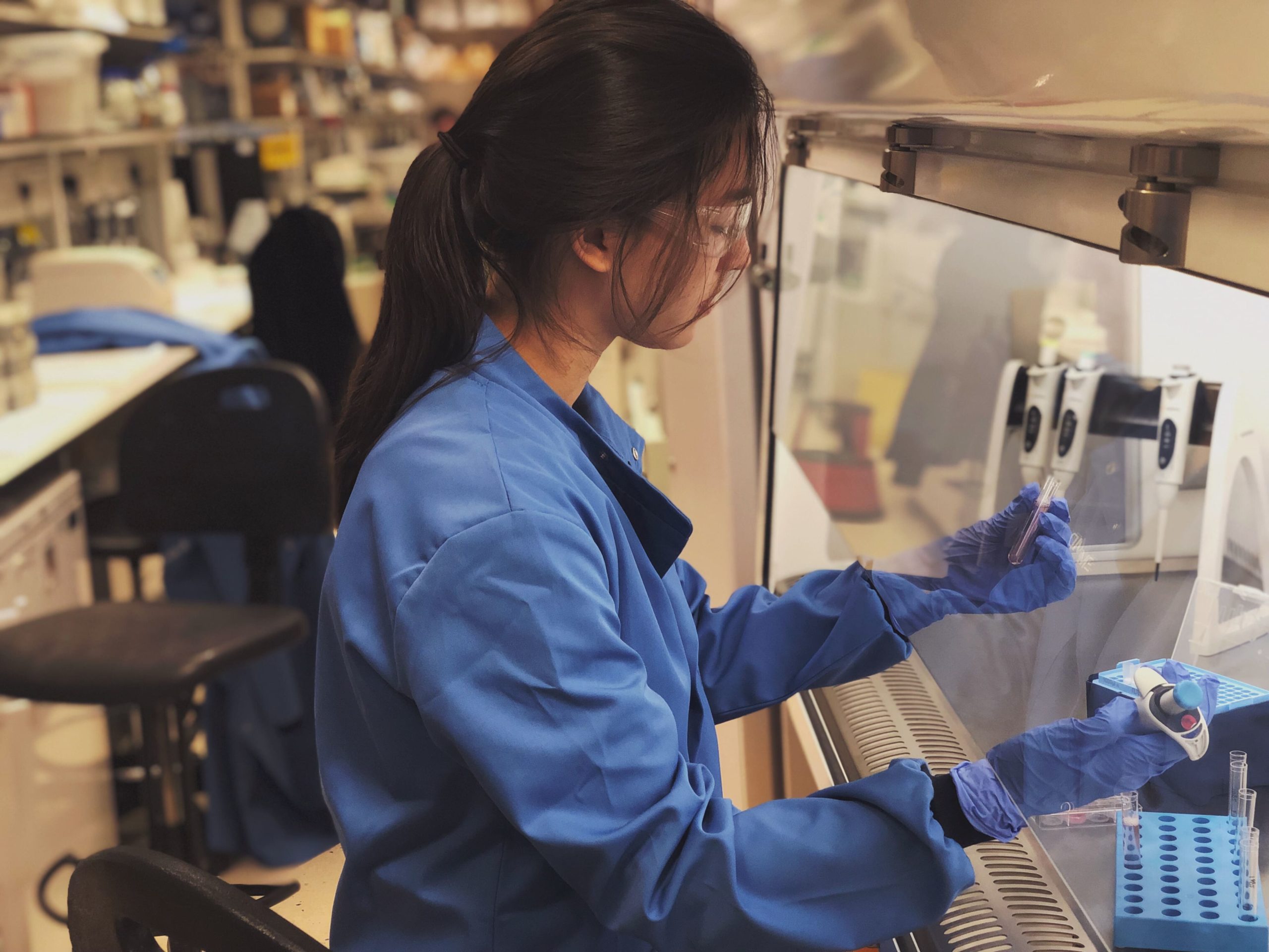 New funding enables expansion of postgraduate access programme In2research image