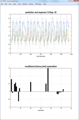 Screenshot of model estimation