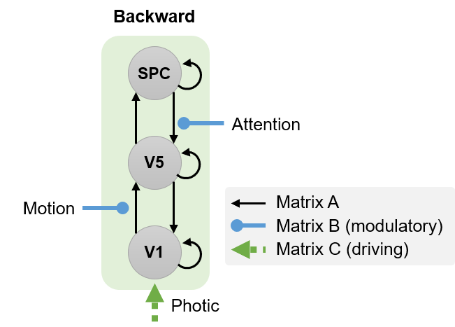 Backward model