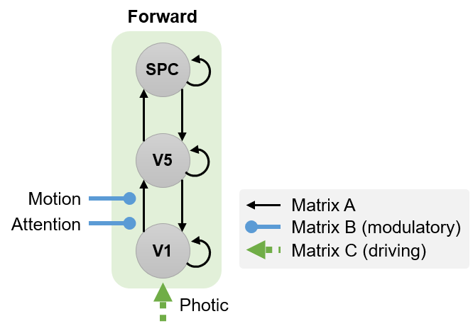 Forward model