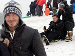 Victoria didn't fancy it? David Beckham and his sons enjoy some boys' time with an afternoon of sledding in the snow